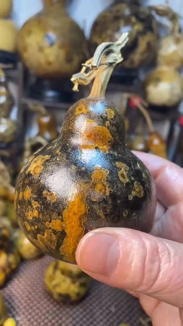 【闪购商品】葫芦葫芦葫芦葫芦