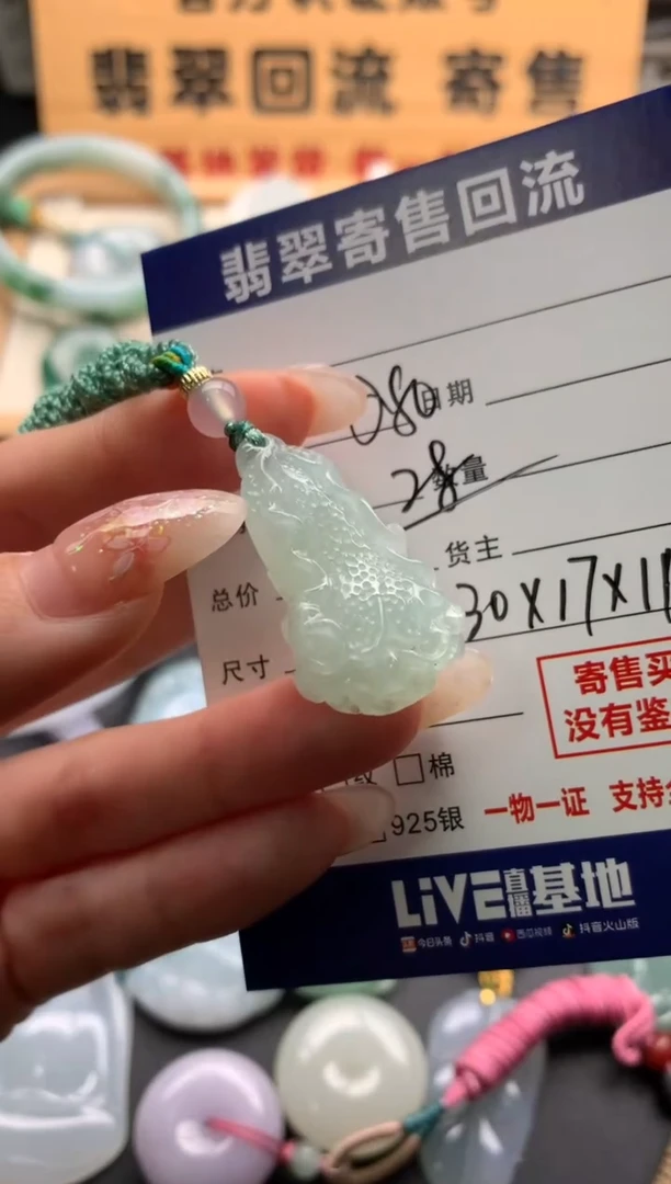 翡翠未镶嵌颈饰10137146