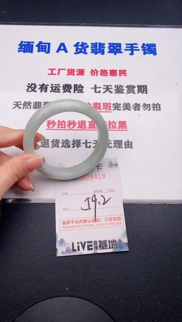 未镶嵌手镯翡翠19