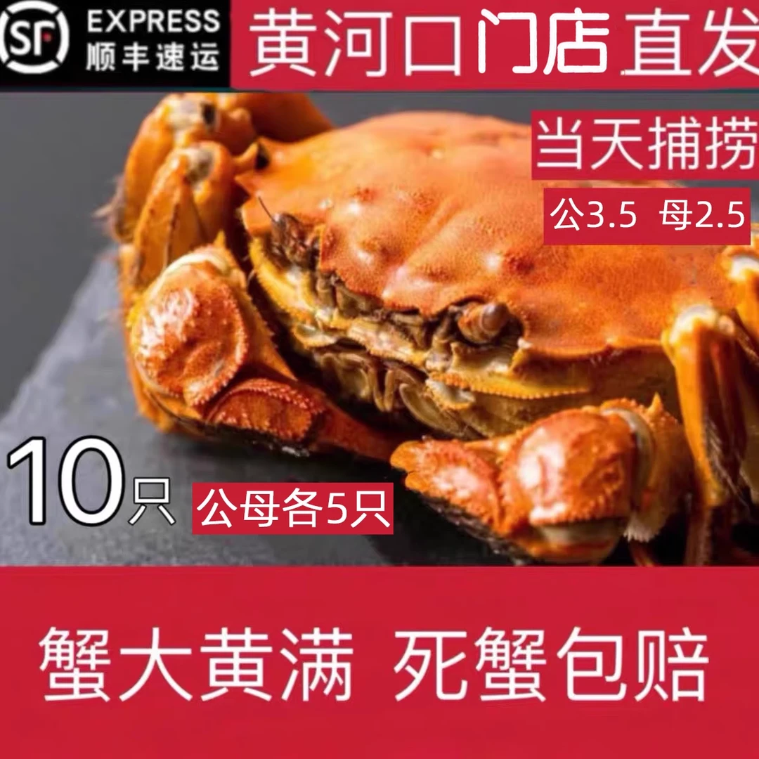 黄河口大闸蟹鲜活水产特大公3.5两母2.5两10只礼盒装 包鲜活