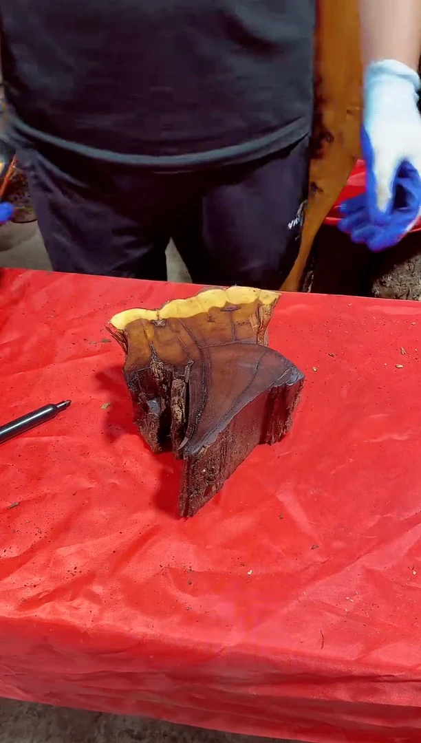 枣木【16】号原木段，尺寸随型