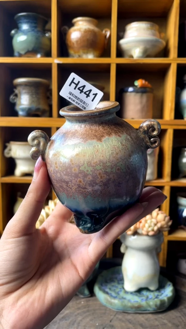 水*441【多肉花盆多肉盆】1