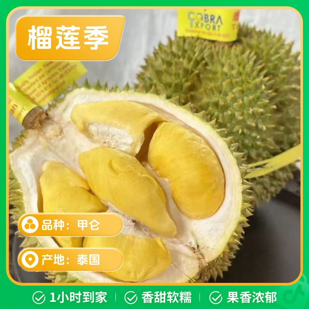 新鲜甲仑榴莲109/个/一果一重/核大甲仑泰国