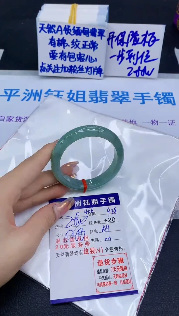 未镶嵌手镯翡翠11111