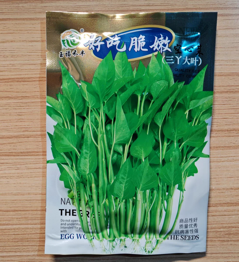 空心菜种子 三叉大叶 好吃脆嫩 好吃 春夏秋种植 厂家原包装30克
