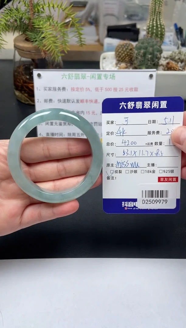 翡翠手镯未镶嵌D2509979