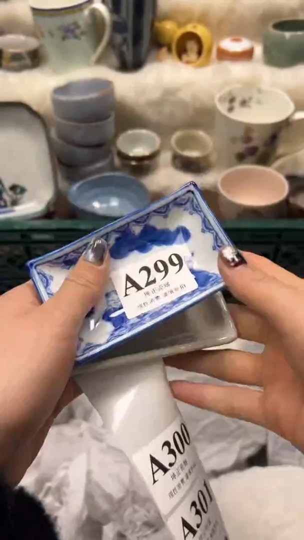 【闪购商品】瓷片          A299