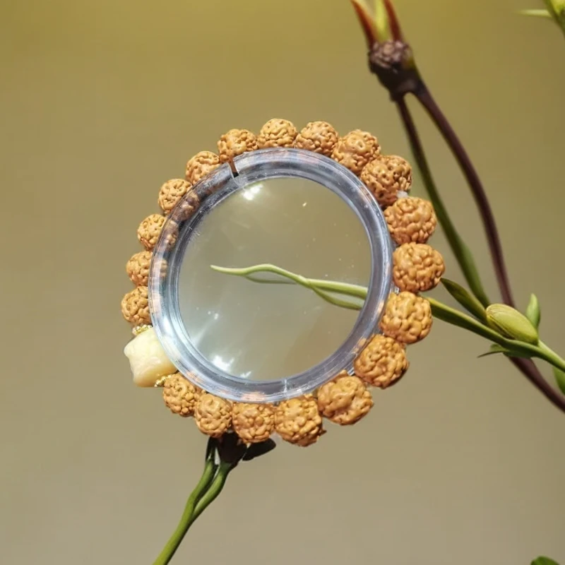 B329爆肉梅花树王小金刚配菩提醒狮卡1.0+