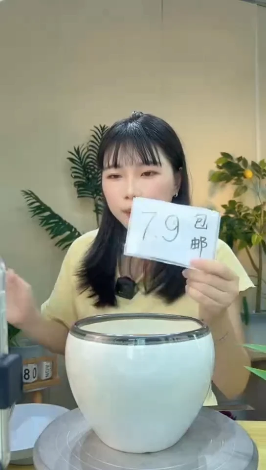 陶瓷花盆白色冰裂纹口径16/高度13