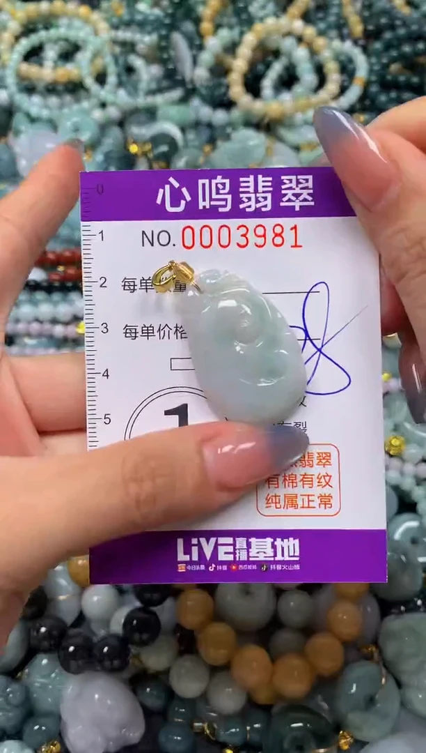 颈饰未镶嵌翡翠闪购003981
