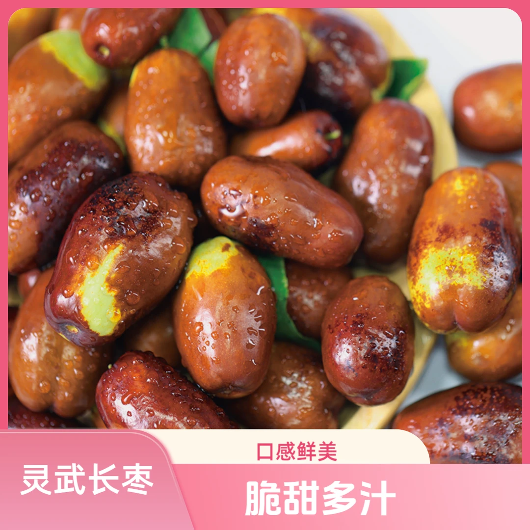 宁夏特产灵武长枣新鲜枣3/5斤装维生素c水果精品店当季水果大枣