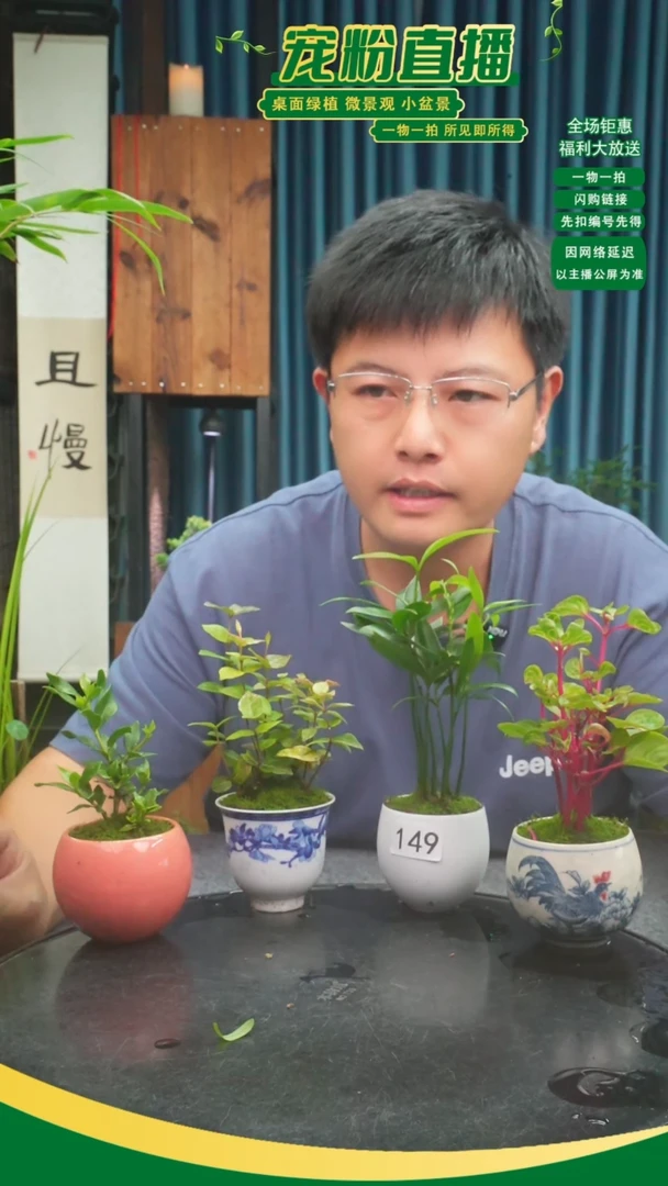 无花朵ღ****?苔藓微景观149号