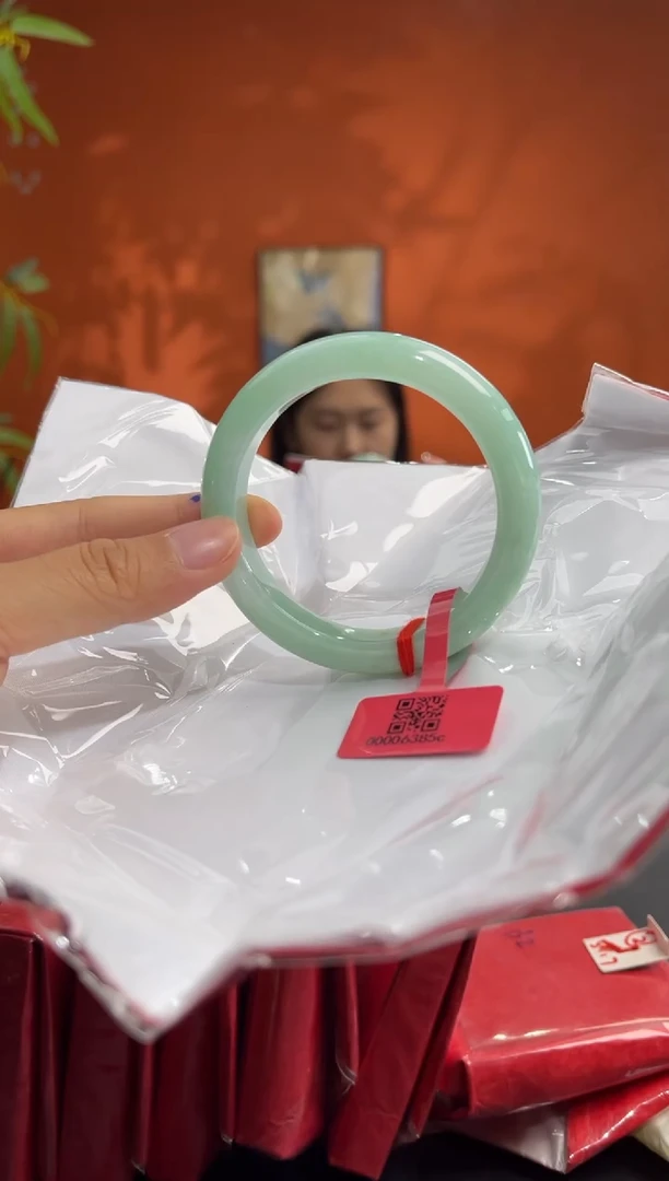 未镶嵌手镯翡翠3