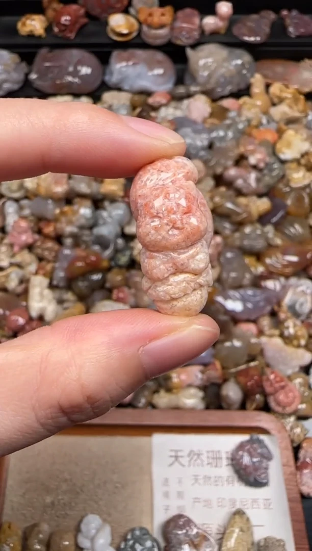 硅化珊瑚（珊瑚玉）未镶嵌颈饰765