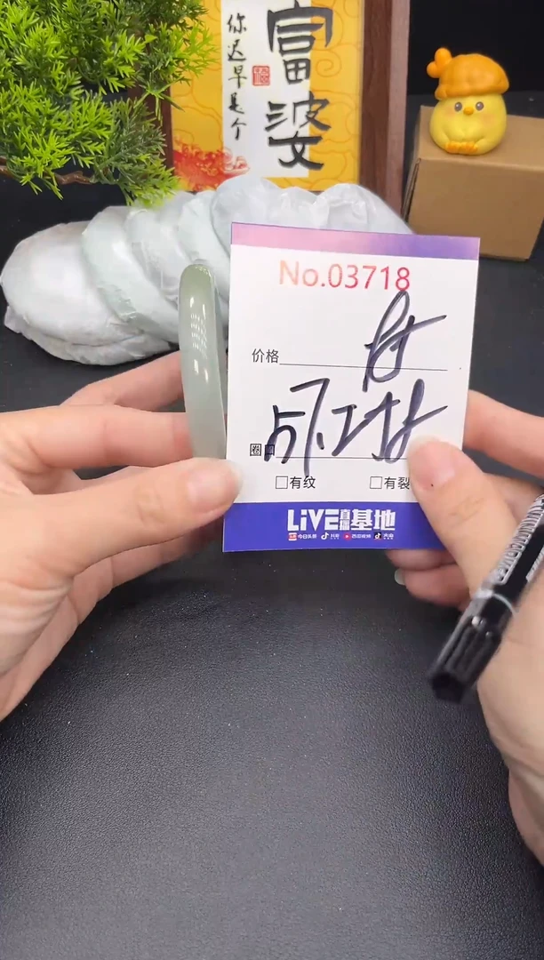 未镶嵌手镯翡翠3718