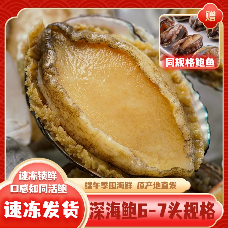 【深海鲍鱼】6-7头鲍约7.5-8cm速冻发货东山岛鲍鱼海鲜水产950g