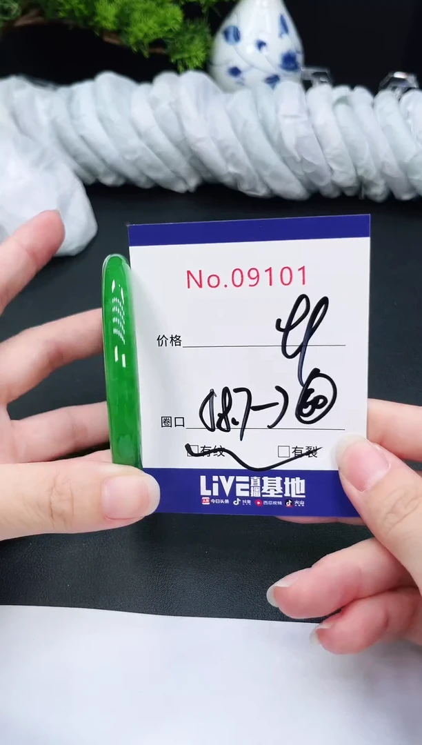 未镶嵌手镯翡翠9101