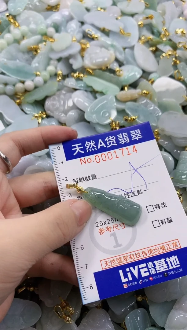 颈饰未镶嵌翡翠天然A货翡翠