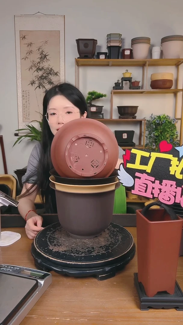 23金钟4只随机颜色