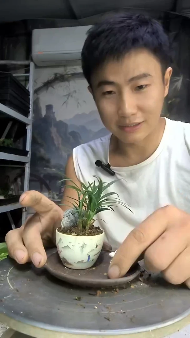 ?****羊中青园艺一物一拍442