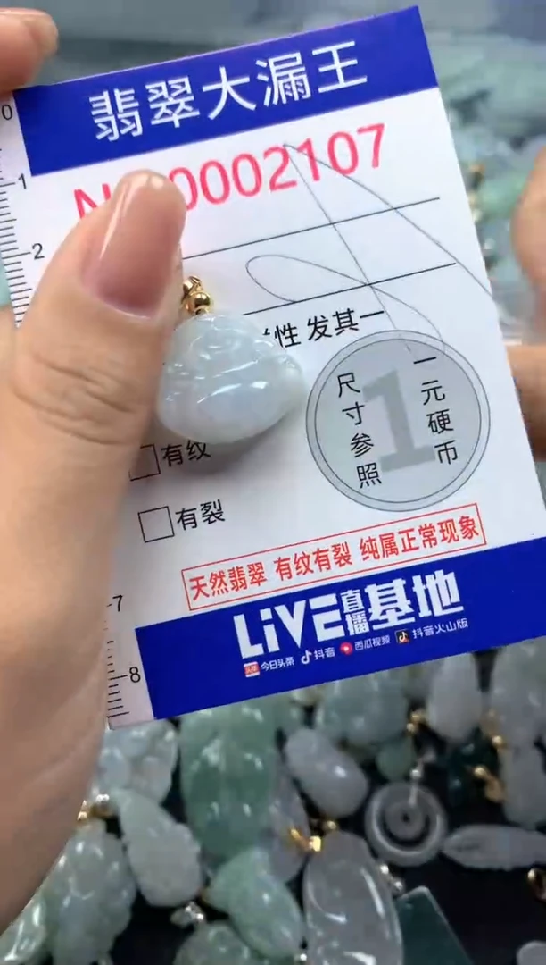 颈饰未镶嵌翡翠2107