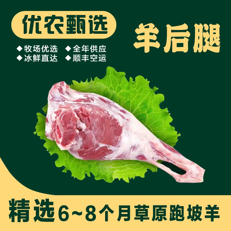 精选6-8个月草原跑坡羊鲜切羊后腿肉清炖碳烤红烧红焖