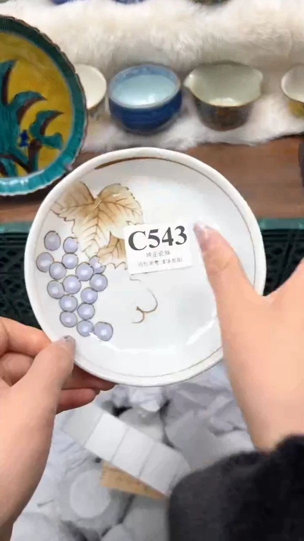 【闪购商品】瓷片          C543
