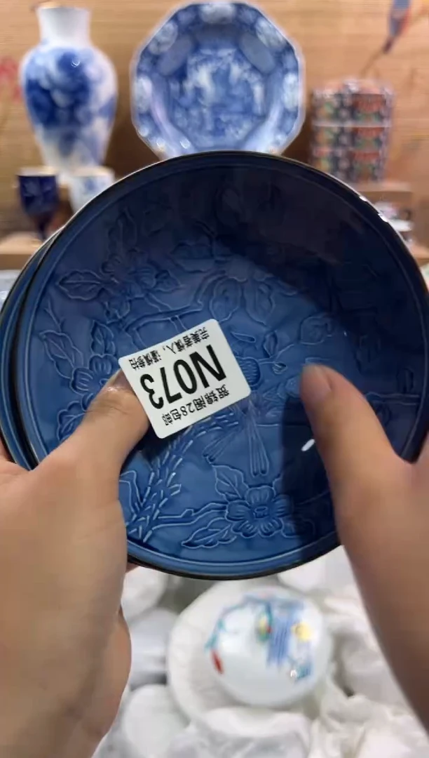 瓷片?         N073