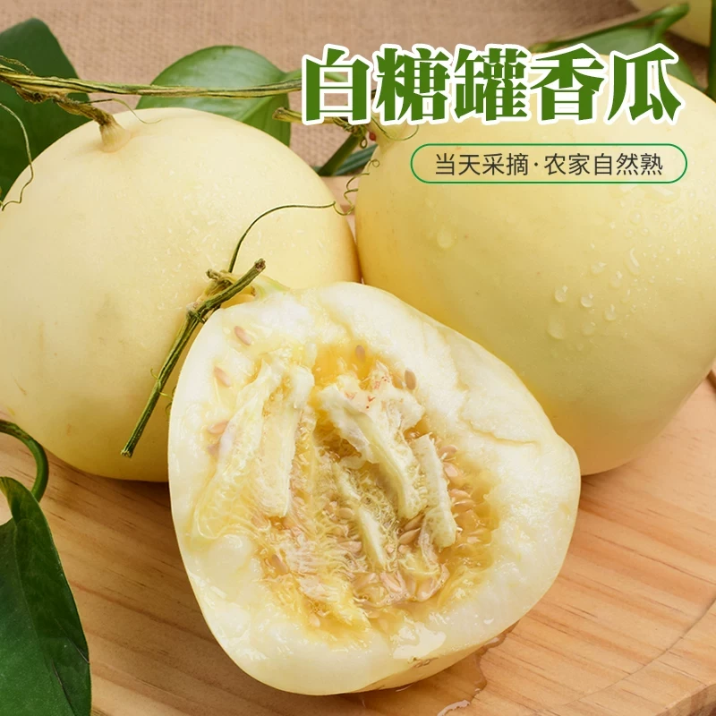 大连神农谷白糖罐香瓜净重5斤京东送货上门