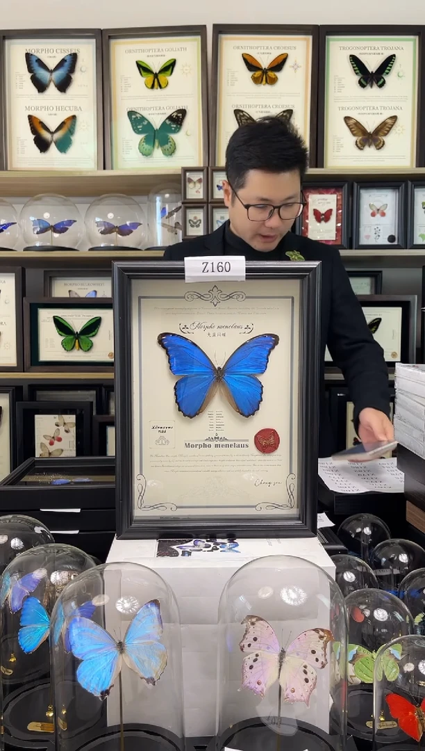 【福利】大蓝闪蝶A4艺术款Z160