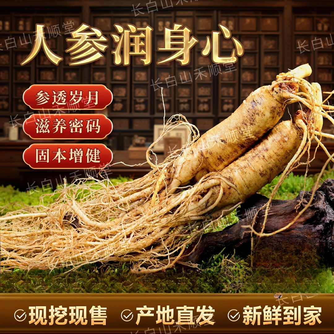 正宗长白山鲜人参煲汤泡酒送礼佳选 产地直发 免费包邮