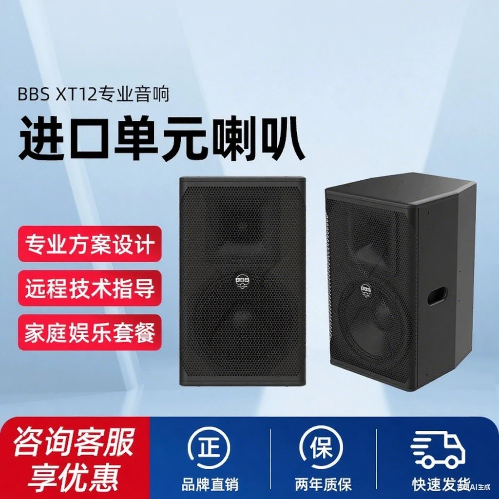 家庭KTV音箱套装意大利进口单元BBSXT12高端专业音箱12寸酒吧演出