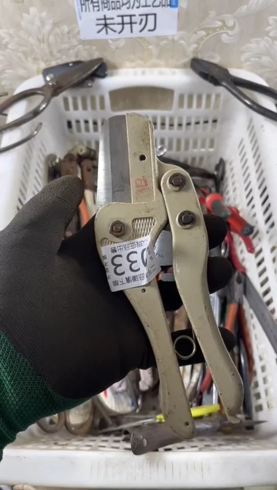 C**A闪购链接直接付款