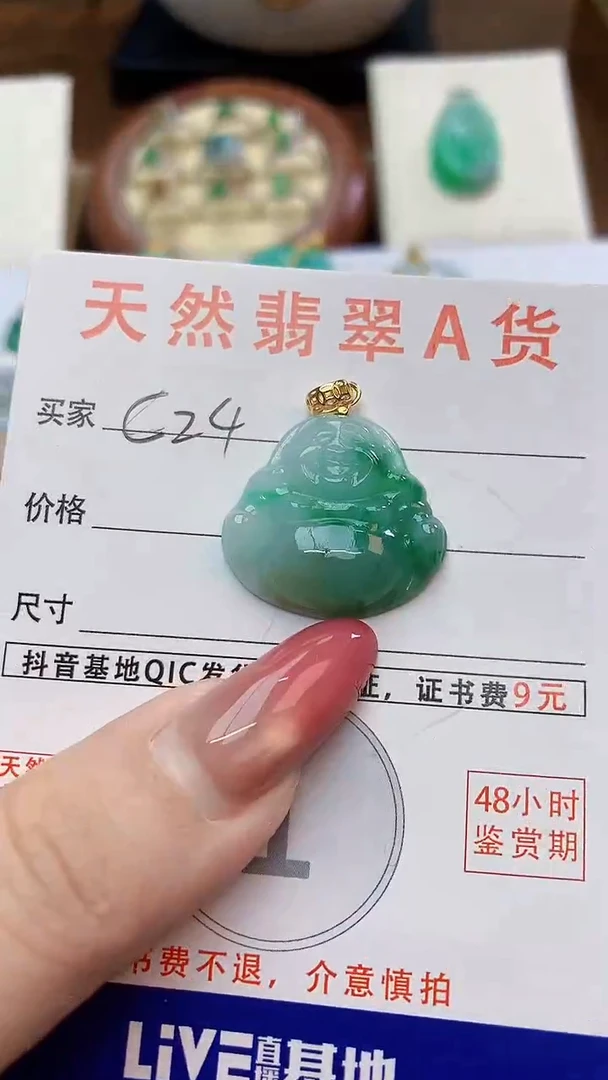 颈饰未镶嵌翡翠天然A货翡翠挂件