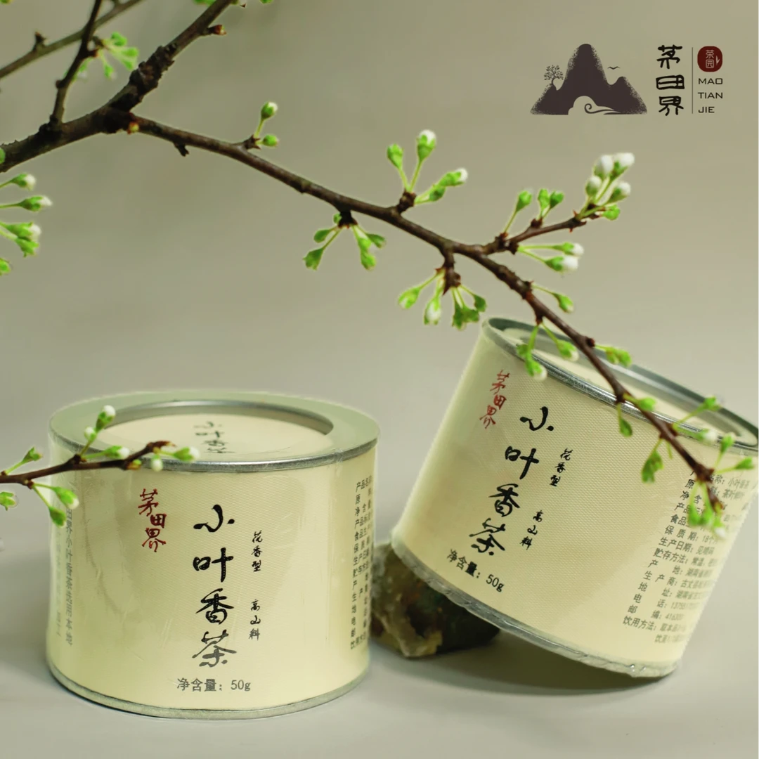 【2024年新茶】湘西古丈香茶【茅田界】正宗手工茶叶新工艺绿茶茶
