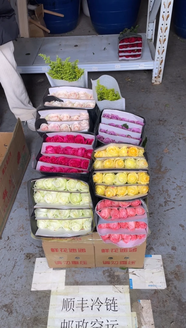 单头玫瑰60枝（任意3个品种）+黄莺