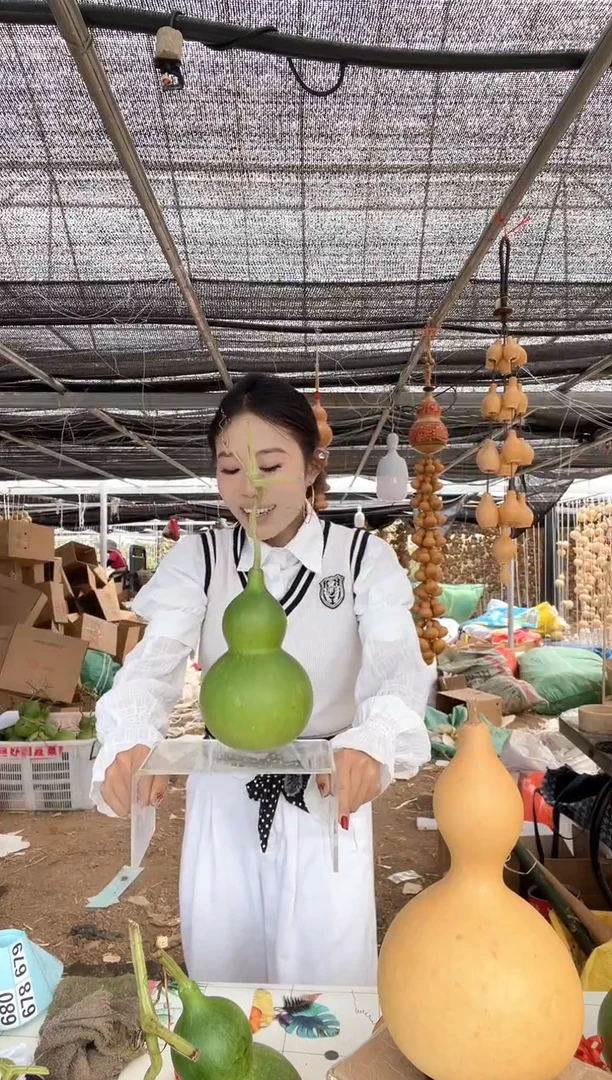 678天然葫芦摆件 一物一拍龙头不保售后