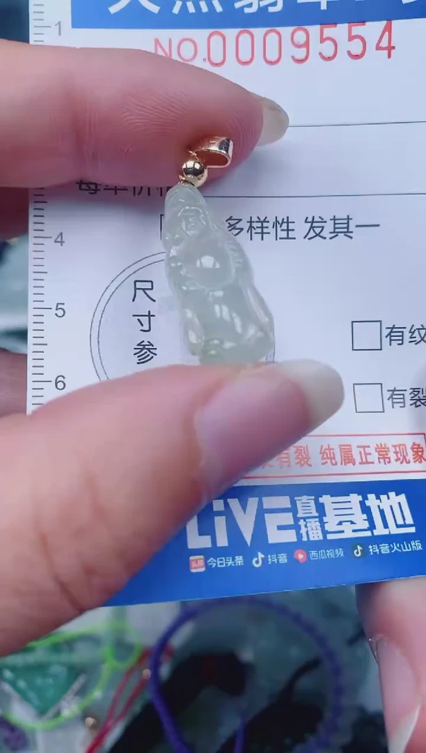 颈饰未镶嵌翡翠00009554