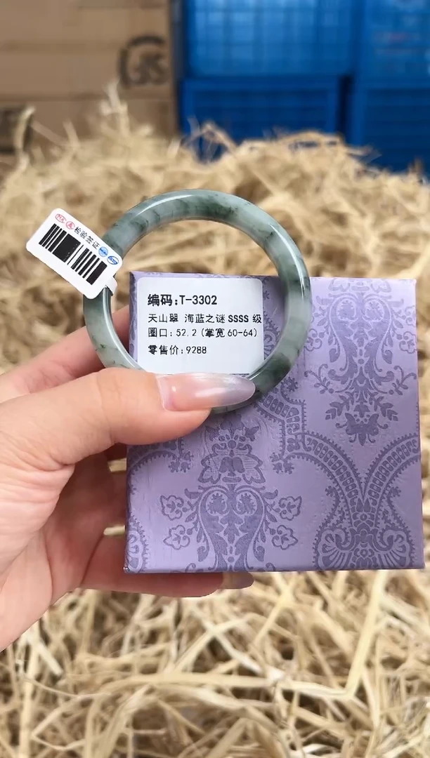 未镶嵌手镯石英质玉T-3302