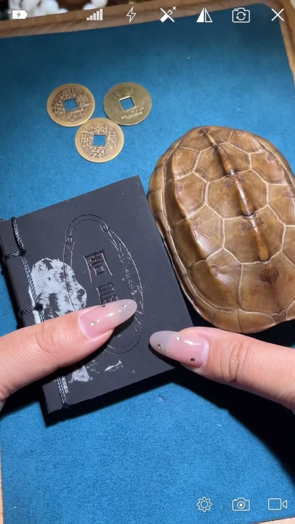 【闪购商品】玛瑙/玉髓DQ未镶嵌龟甲 手把件