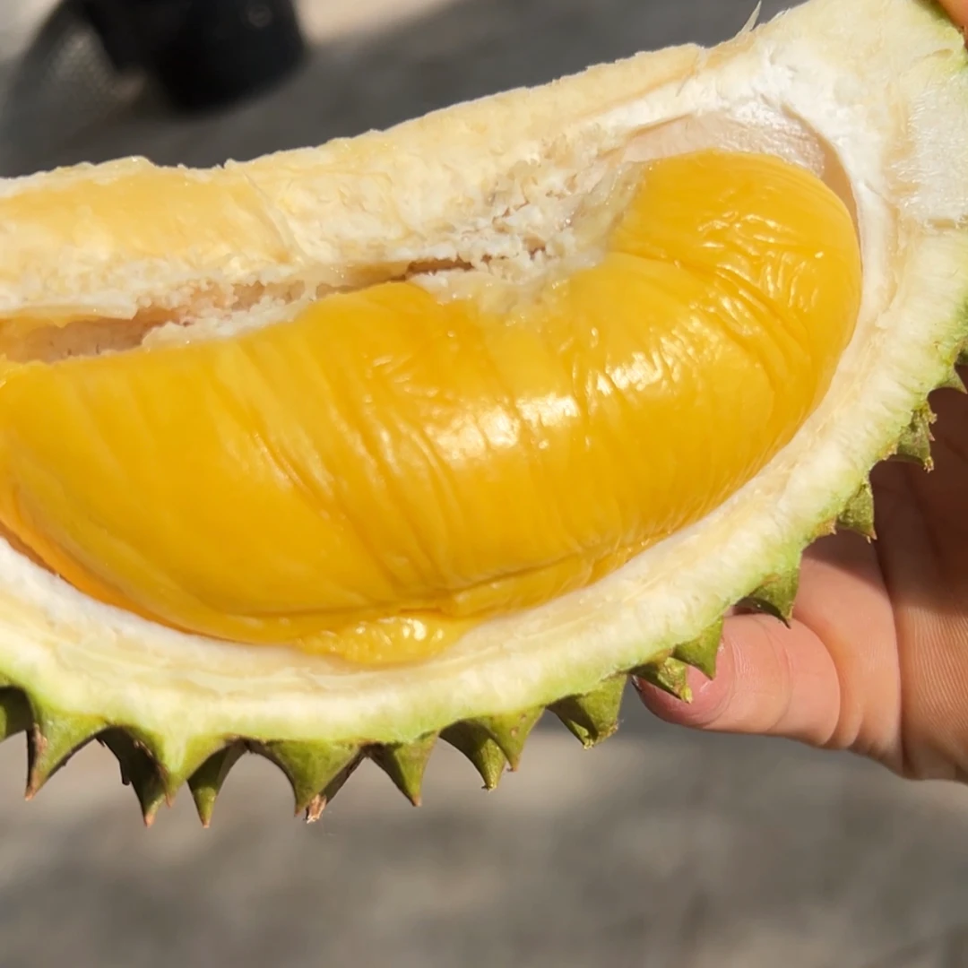 猫山王D197进口马来西亚树熟榴莲