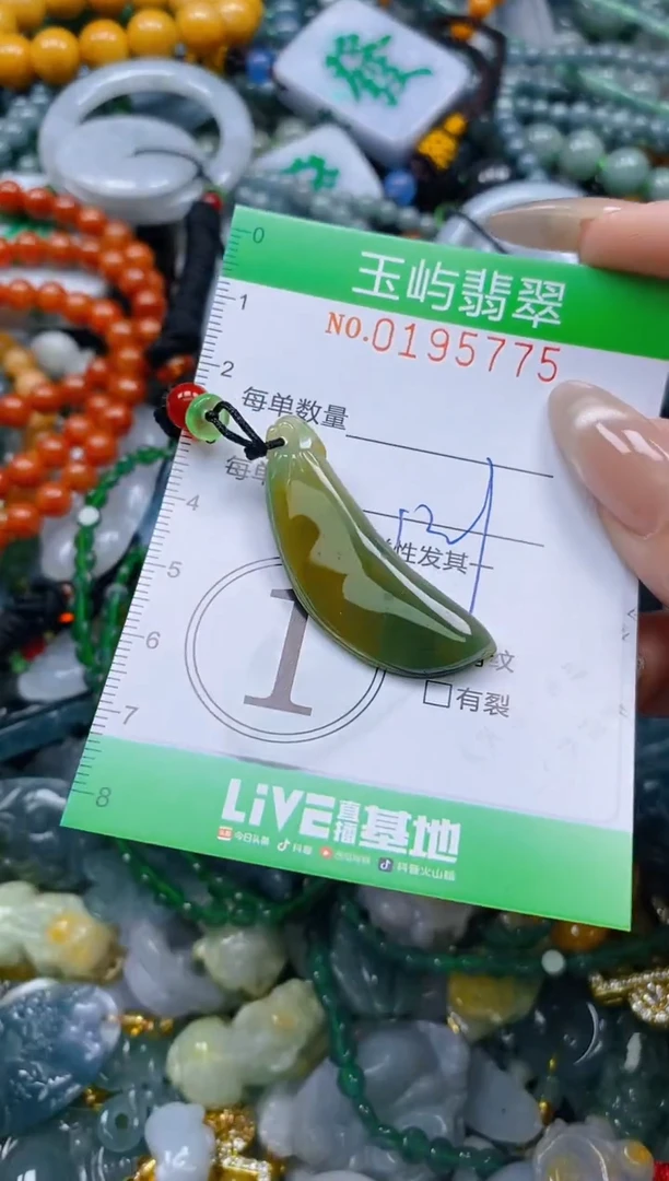 翡翠未镶嵌颈饰闪购0195775