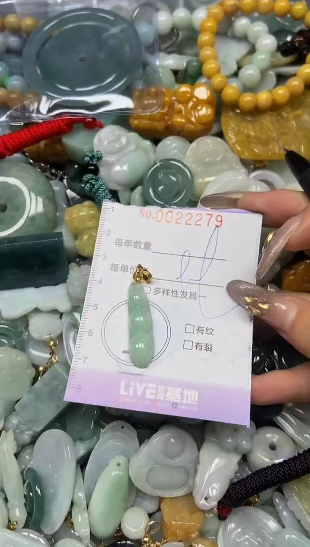 【闪购商品】翡翠颈饰未镶嵌闪购0022279