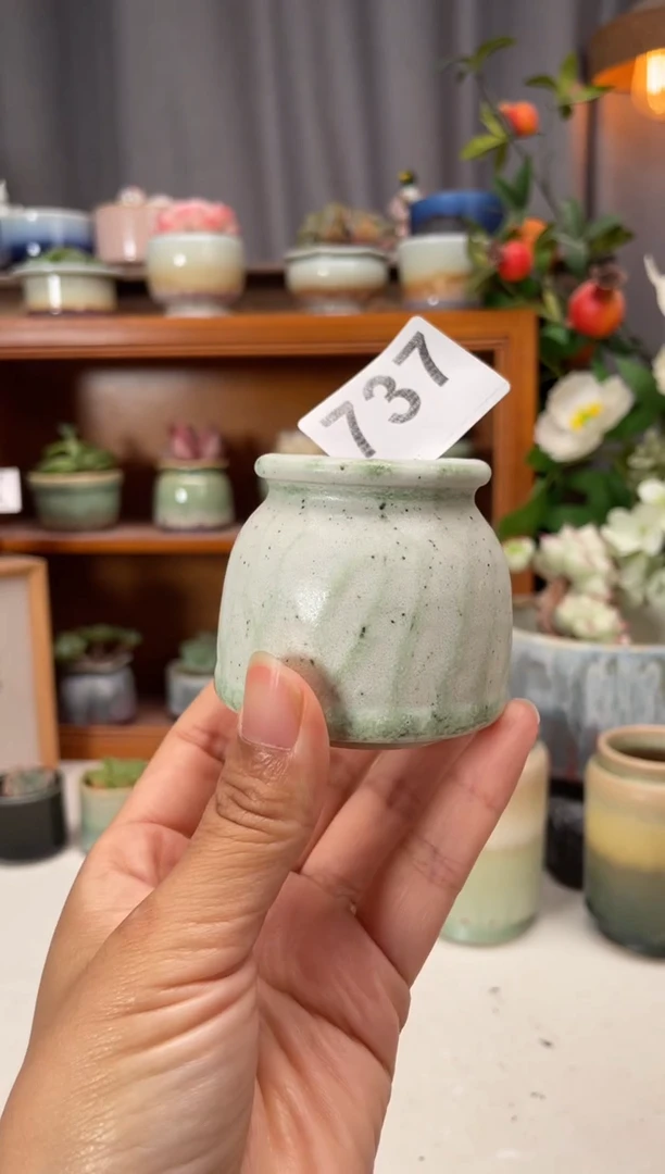 瓷片737知木小芳花盆