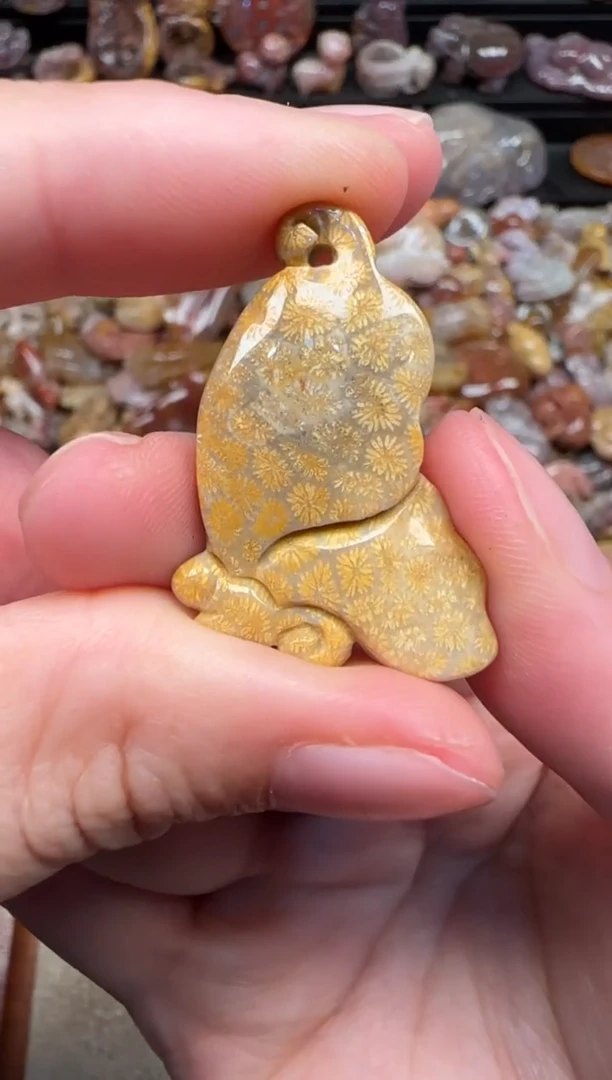 颈饰未镶嵌硅化珊瑚（珊瑚玉）260