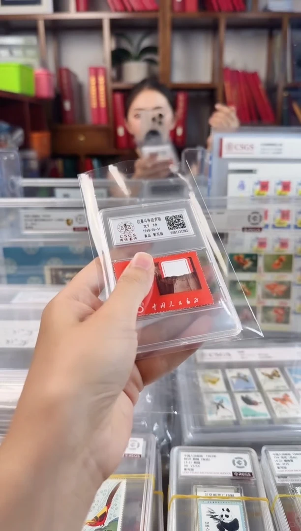 文9  单枚  声明   单枚