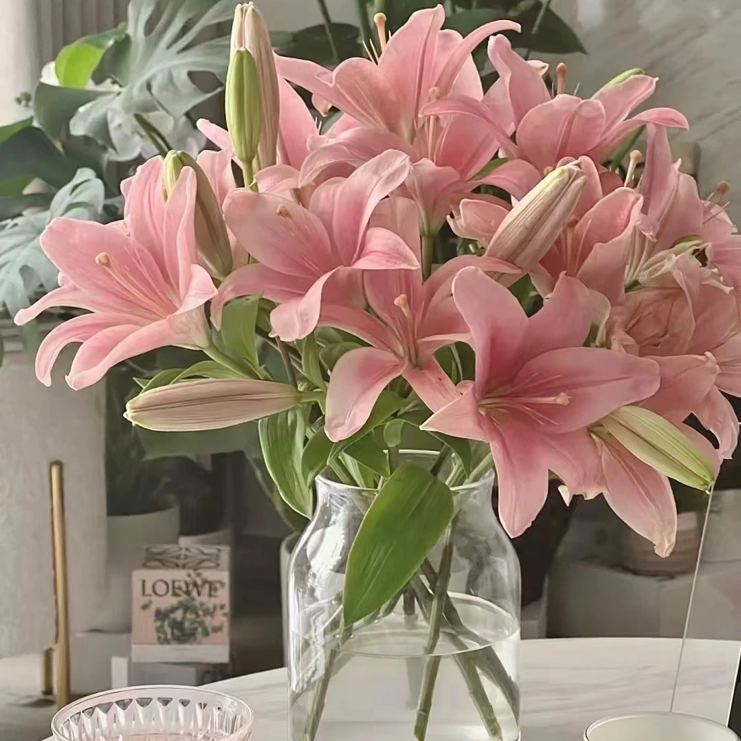 花鲜祉 【苏州仓限时福利】（小粉仙/拍3枝送2枝/束）今日下单次日达 无香味百合鲜切花花束云南基地直发