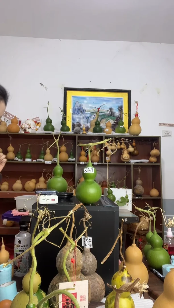 大*，543天然葫芦摆件 一物一拍龙头不保售后
