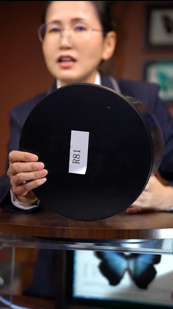 ?****nR81    动物标本  元宝