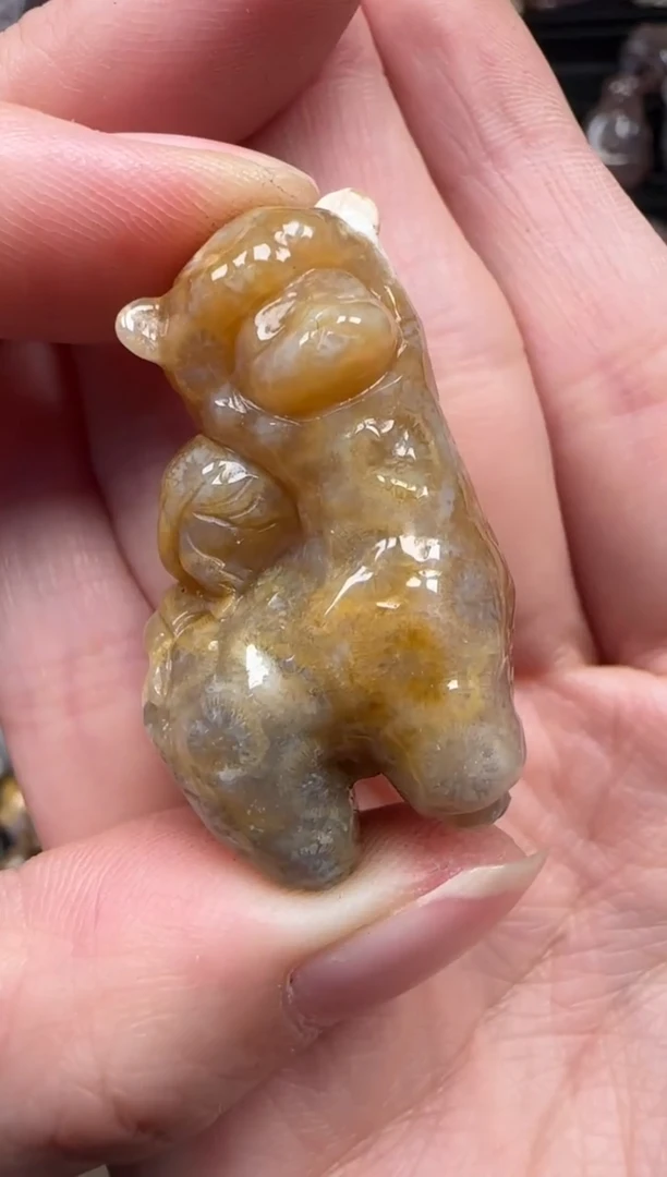 颈饰未镶嵌硅化珊瑚（珊瑚玉）359